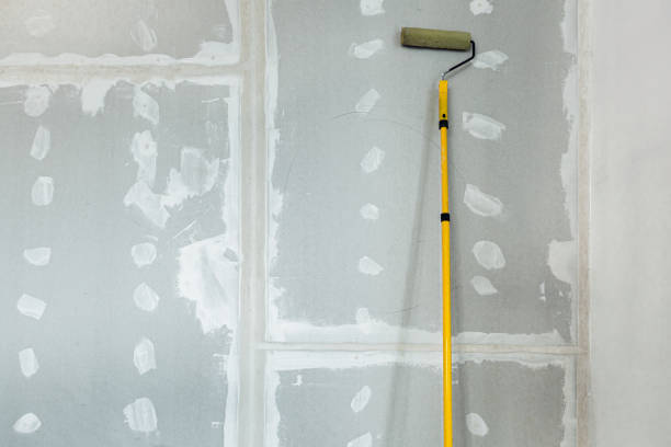 Best Airborne Mold Testing  in Lago Vista, TX