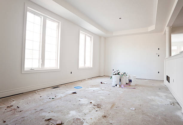 Professional Mold Removal in Lago Vista, TX