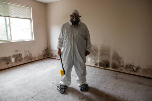 Best Crawl Space Mold Remediation  in Lago Vista, TX