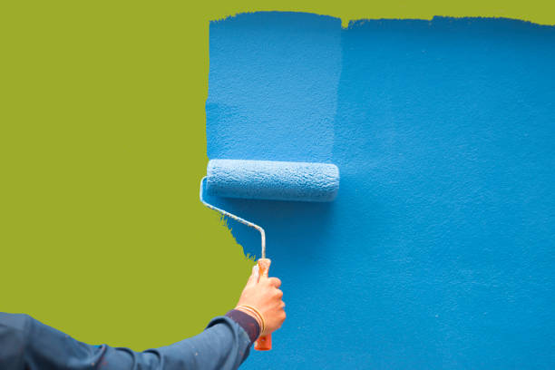 Best Mold Removal for HVAC Installations  in Lago Vista, TX